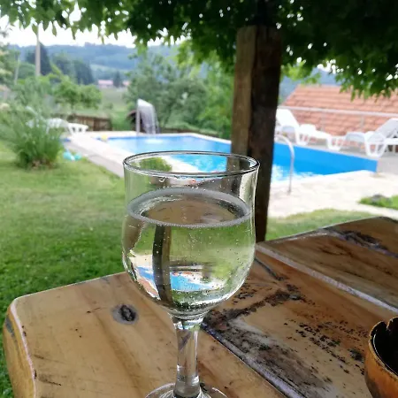 Petrovic * Rudnik