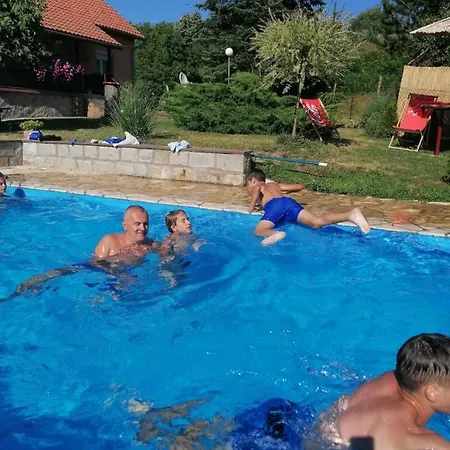 Apartment Petrovic *