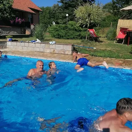 Apartment Petrovic *