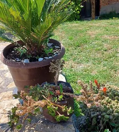 Petrovic Apartment Rudnik