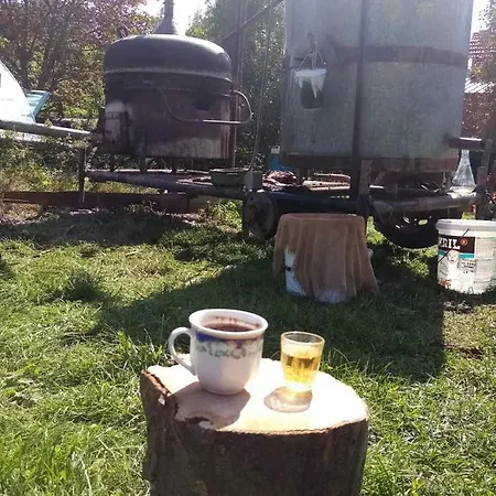 Apartment Petrovic *