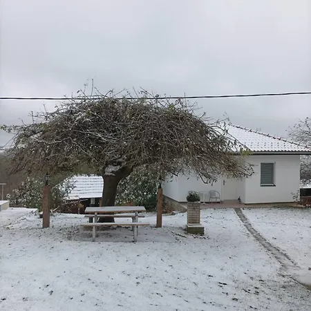 Petrovic * Rudnik