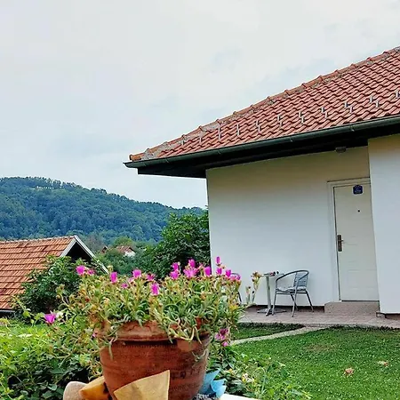 Apartment Petrovic *