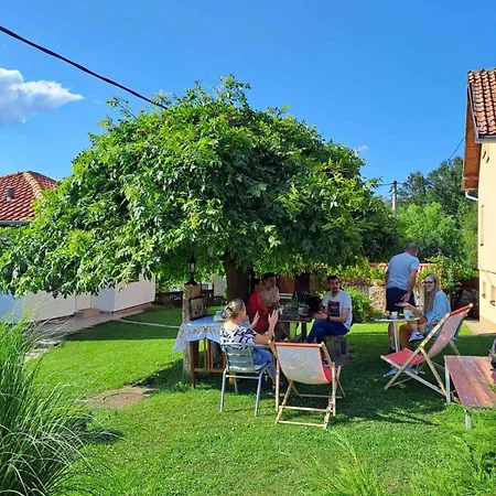 Petrovic Apartment *