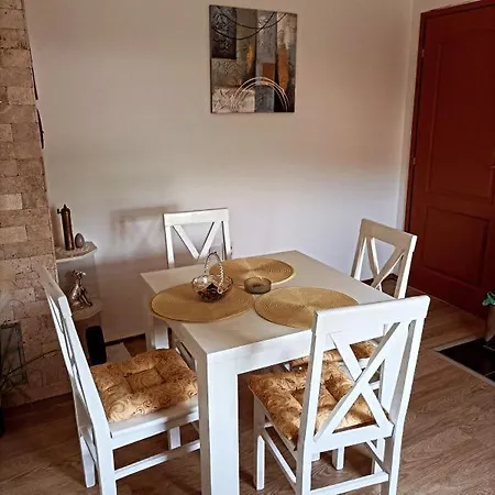 Petrovic Apartment Rudnik