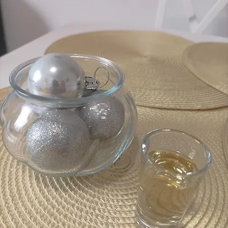 Petrovic * 鲁德尼克