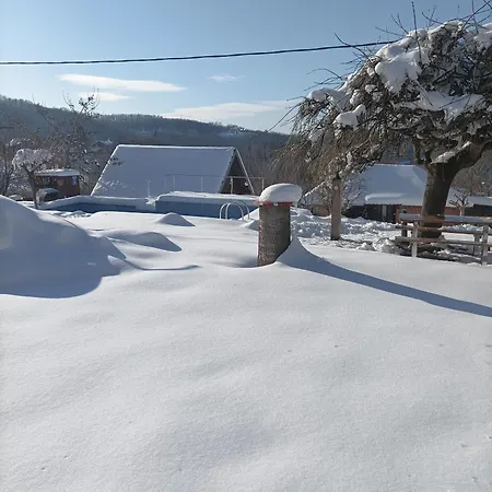 Petrovic Apartment *