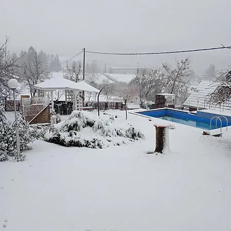 Petrovic Apartment *